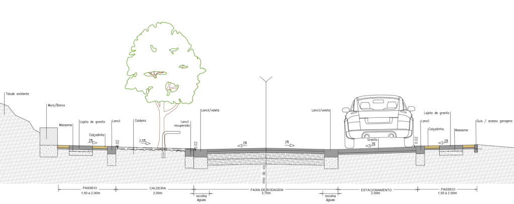 Contributo para a Requalificação da Rua Nicolau&nbsp;Chanterenne